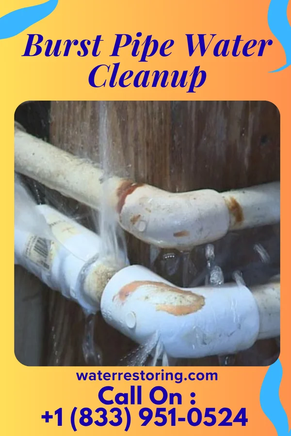 Burst Pipe Water Cleanup in Ansted, WV