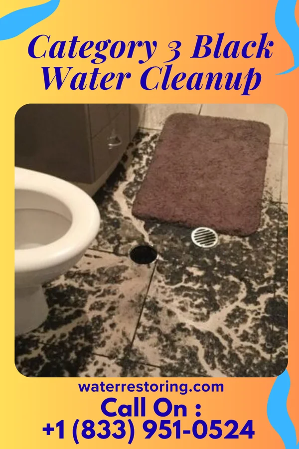 Category 3 Black Water Cleanup in Ansted, WV