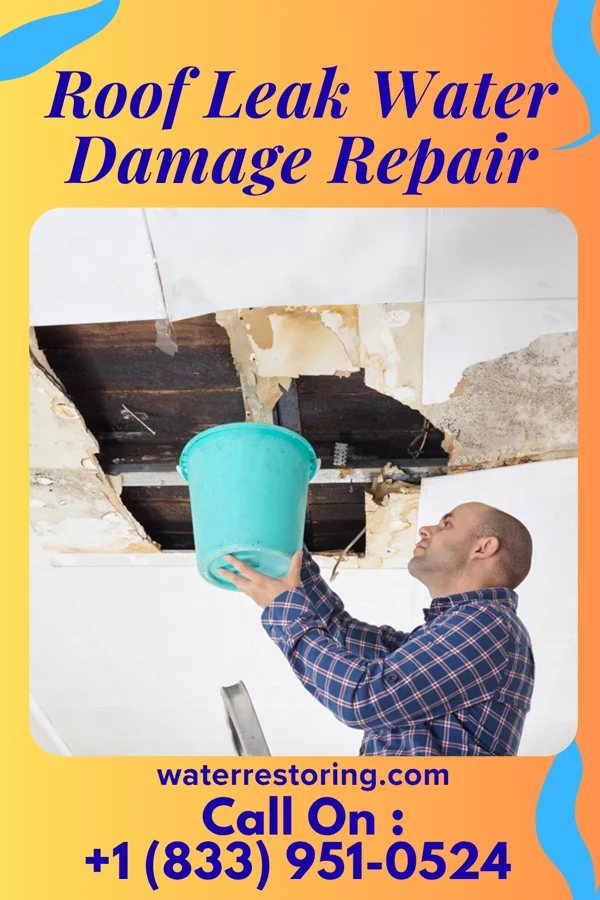 Roof Leak Water Damage Repair in Ansted, WV