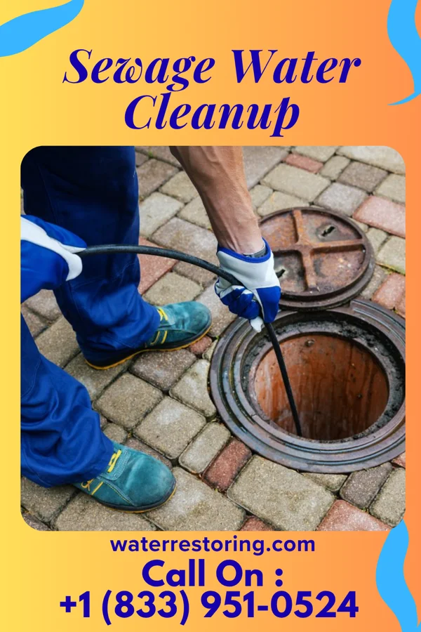 Sewage Water Cleanup in Ansted, WV